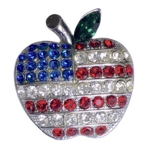 Apple American flag pin brooch